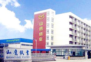 朝陽山鷹紙業(yè)公司